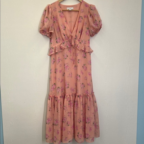 LoveShackFactory X Target - Fleur Chiffon Pink Floral Lined Maxi Dress Size 8 - Picture 10 of 12